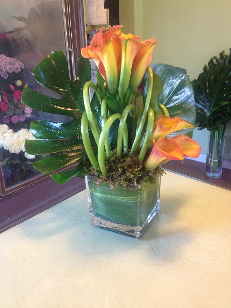 oh Calla Lilies